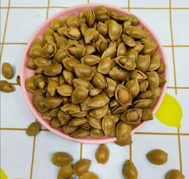 新疆特产开口杏核