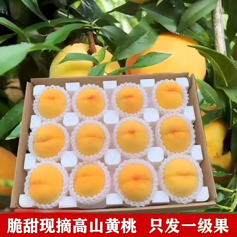 湖南怀化高山红心黄桃洪江黔阳雪新鲜当季纯甜大果
