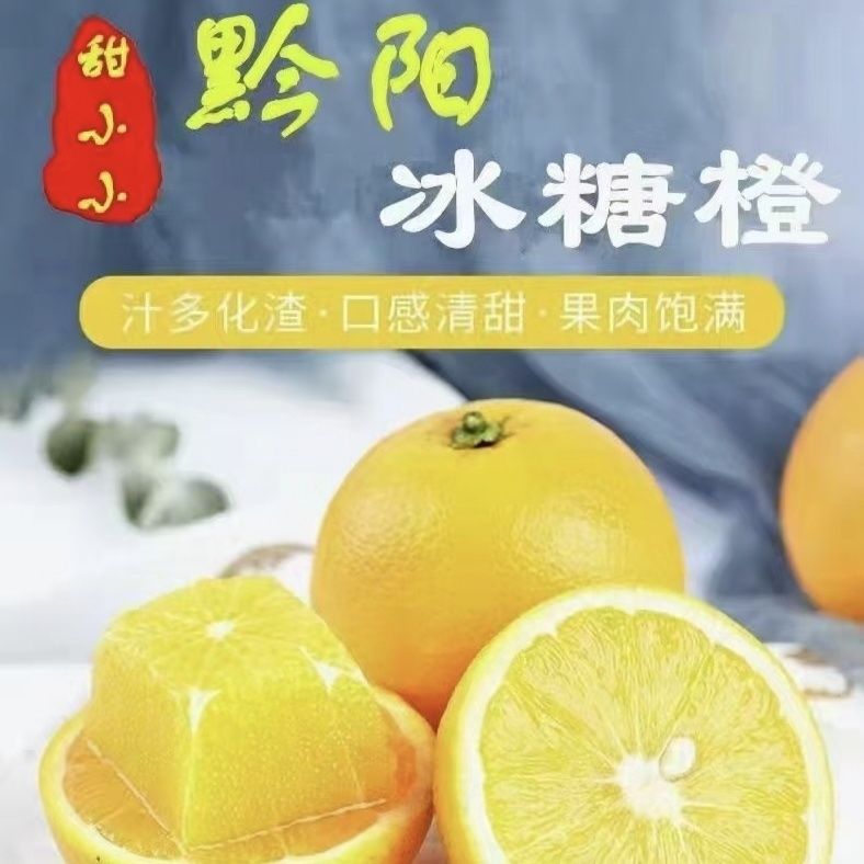 正宗湖南黔阳冰糖橙果园直发