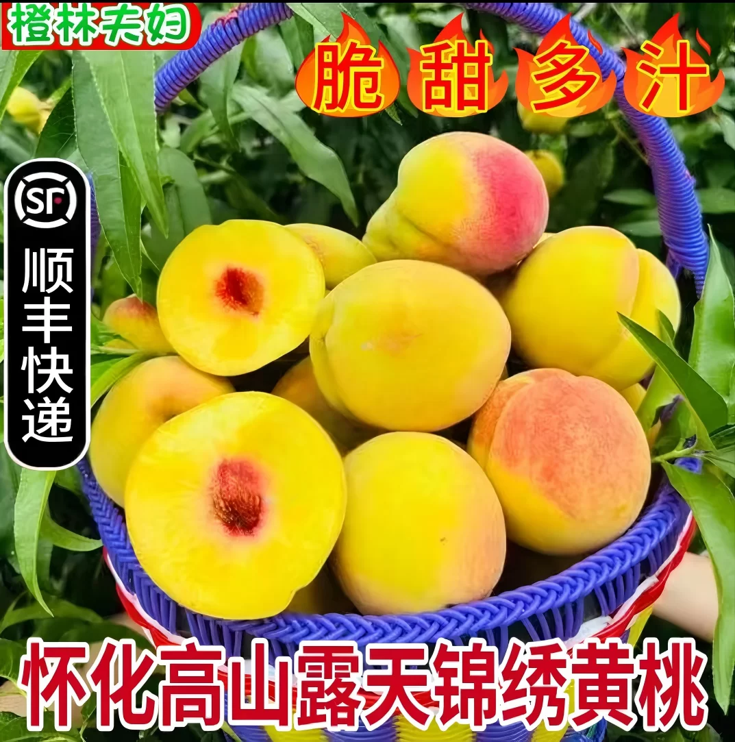 怀化高山露天锦绣黄桃纯甜4.5-9斤重